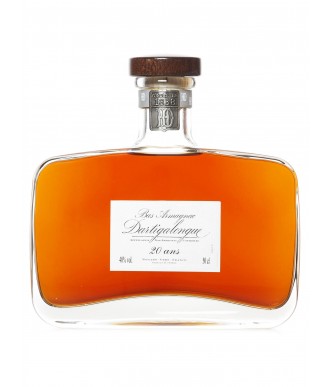DARTIGALONGUE ARMAGNAC 20 YEARS - CARAFE YOGI 50 cl