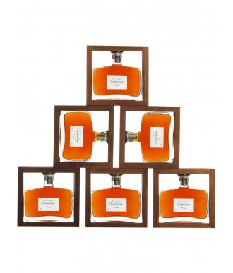 DARTIGALONGUE ARMAGNAC 20 YEARS - CARAFE YOGI 50 cl