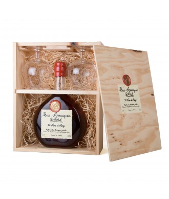 Delord Geschenkset mit 2 Gläsern - Armagnac 20 Jahre